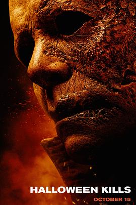 网站优化好评的聊天记录